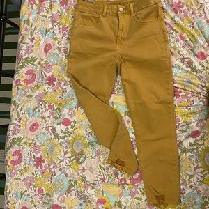 American Eagle Skinny Jegging
